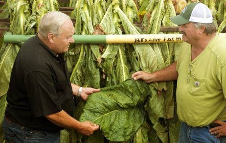 is tobacco cash crop Tobacco a cash crop in Pennsylvania – Reading Eagle