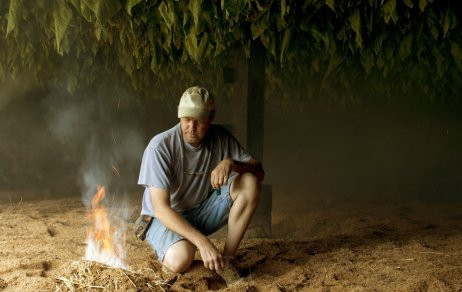 do you need a permit to grow tobacco The Survival Gardener's Guide to Growing Tobacco for Smoking, Barter,  Medicine and $$$: A Quick-Start Booklet
